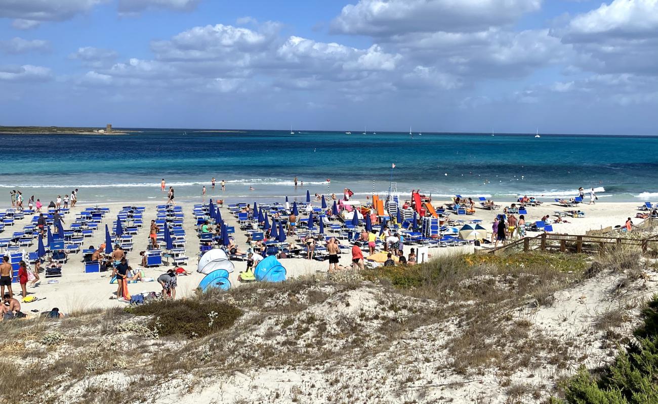 Foto de Playa Pelosetta con brillante arena fina superficie