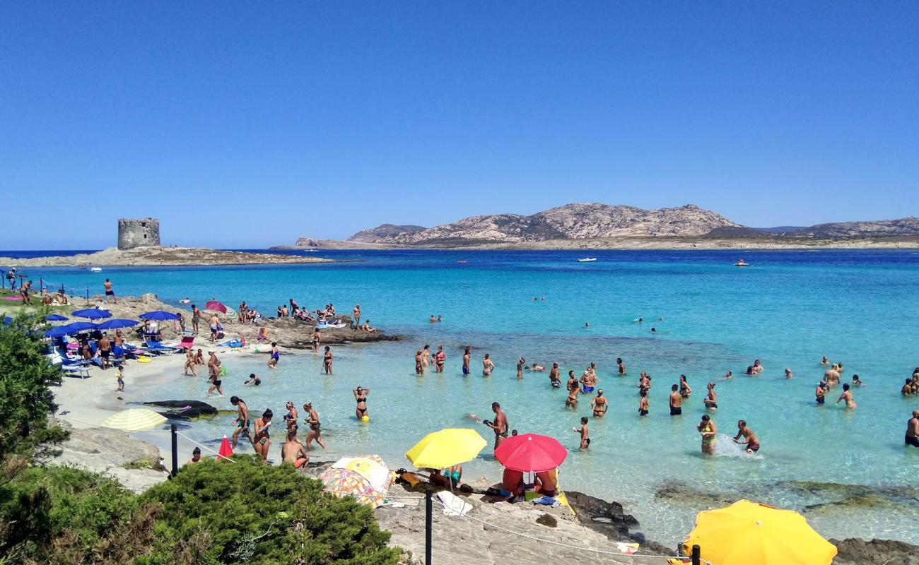 Foto de Playa La Pelosa con brillante arena fina superficie