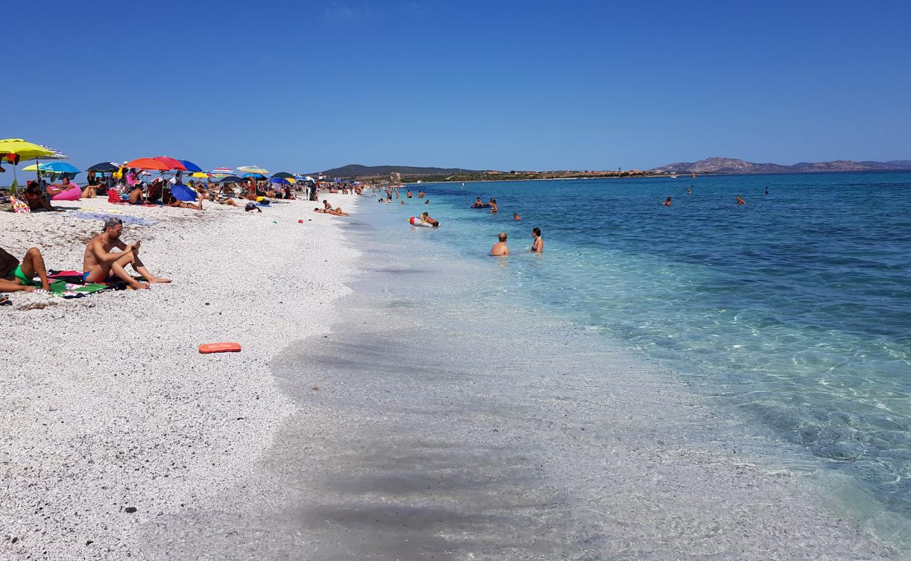 Foto de Spiaggia delle Saline con guijarro fino blanco superficie