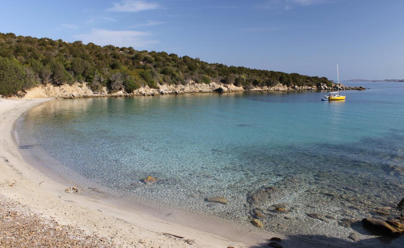 Foto de Spiaggia Macchia Mala con arena brillante superficie