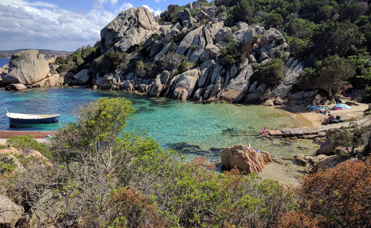 Foto de Spiaggia di Cala Martinella con arena oscura superficie