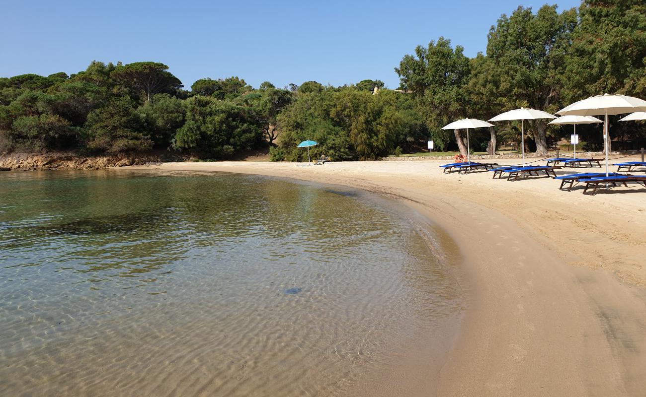 Foto de Spiaggia di Cala Capra con brillante arena fina superficie