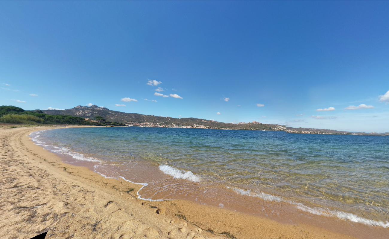 Foto de Dog Beach con agua azul superficie