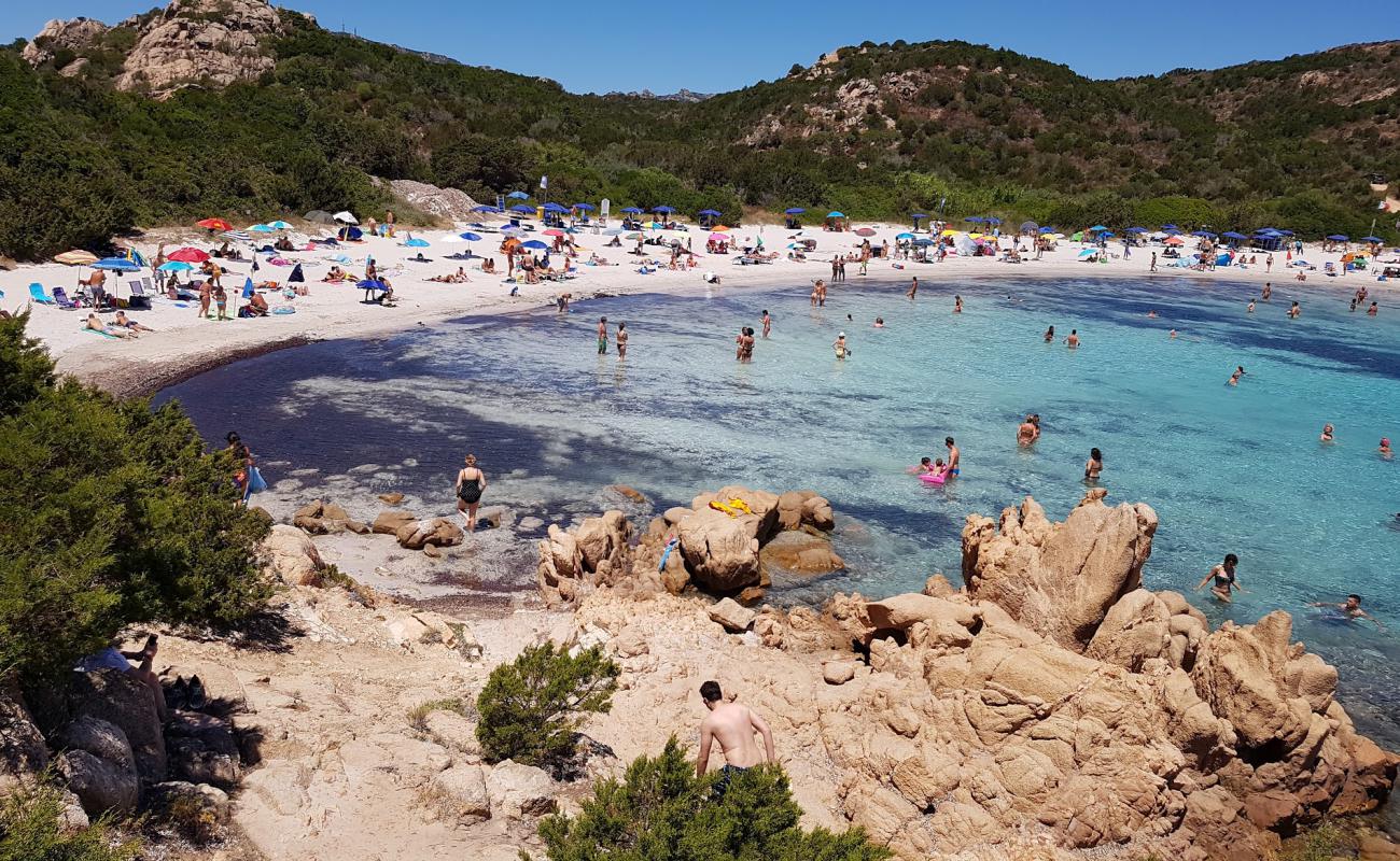 Foto de Playa del Príncipe con arena fina blanca superficie