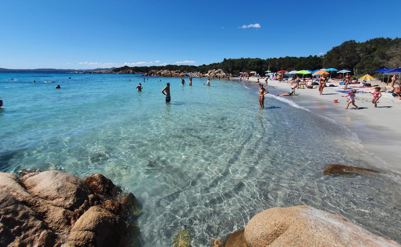 Foto de Playa de Capriccioli (Este) con brillante arena fina superficie