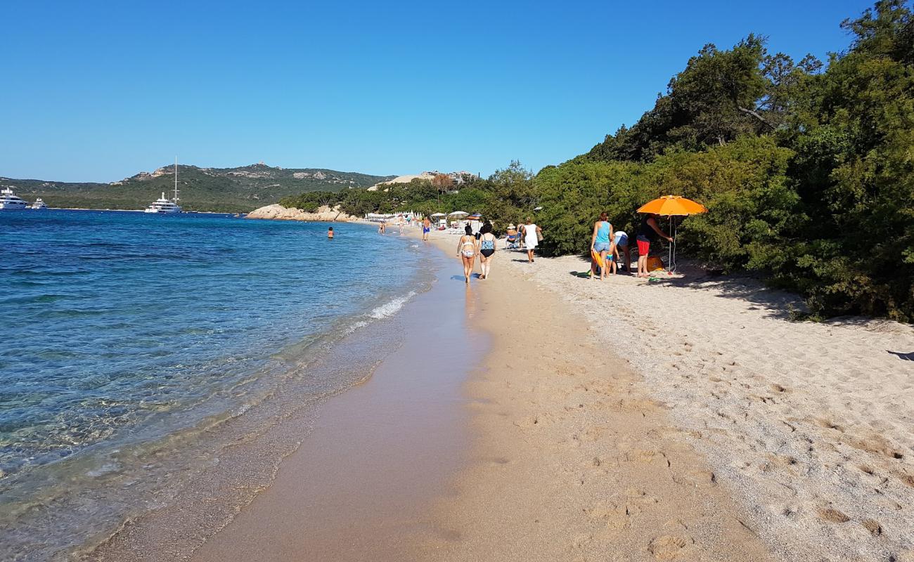 Foto de Spiaggia La Celvia con guijarro fino claro superficie