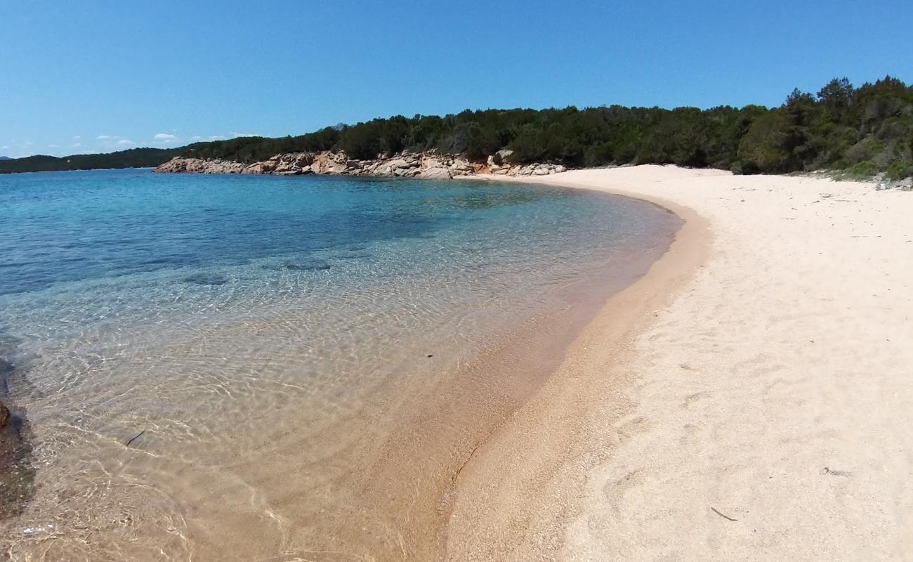 Foto de Playa de Piccola Lisciaruja con arena brillante superficie