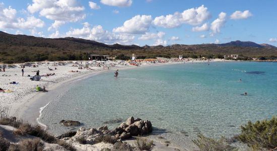 Playa de Portisco