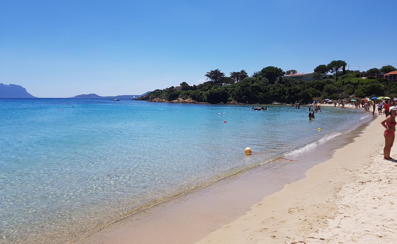 Foto de Spiaggia Cala Sassari con brillante arena fina superficie