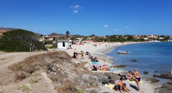 Spiaggia dello Squalo