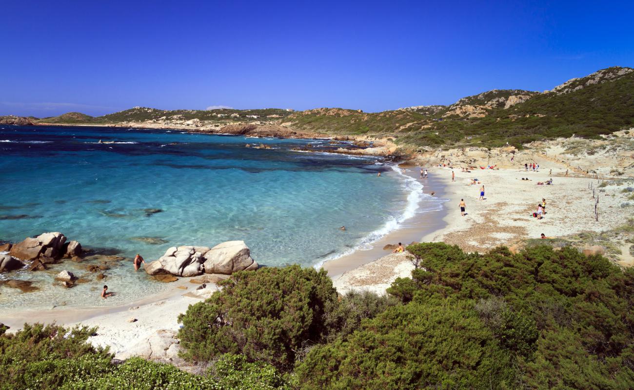 Foto de Spiaggia di Bassa Trinita con arena brillante superficie