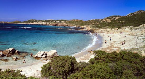 Spiaggia di Bassa Trinita