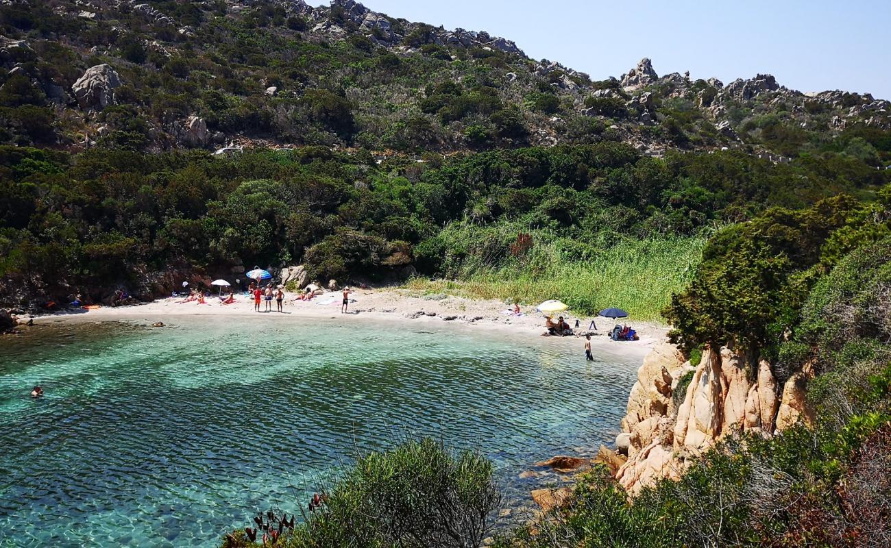 Foto de Cala Lunga beach con arena brillante superficie