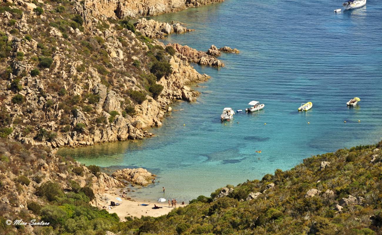 Foto de Spiaggia di Cala Brigantina con arena blanca superficie