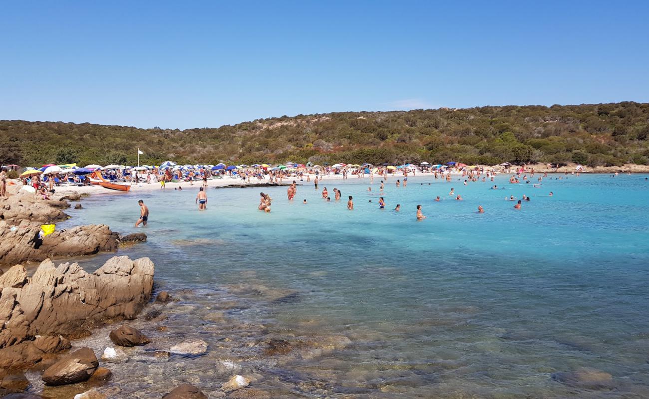 Foto de Playa Wreck con arena fina blanca superficie