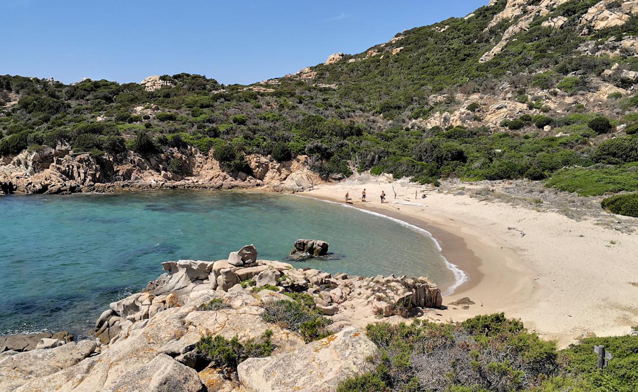 Foto de Cala D'alga beach con arena brillante superficie