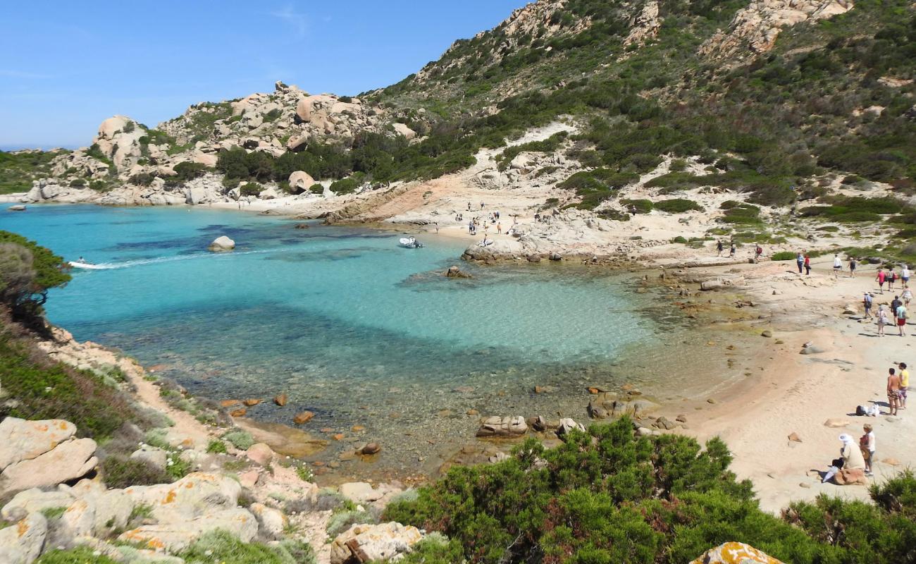 Foto de Cala Canniccio beach con arena brillante superficie