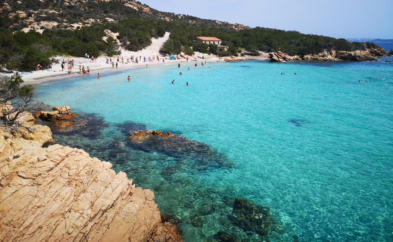 Foto de Playa Cala Granara con brillante arena fina superficie