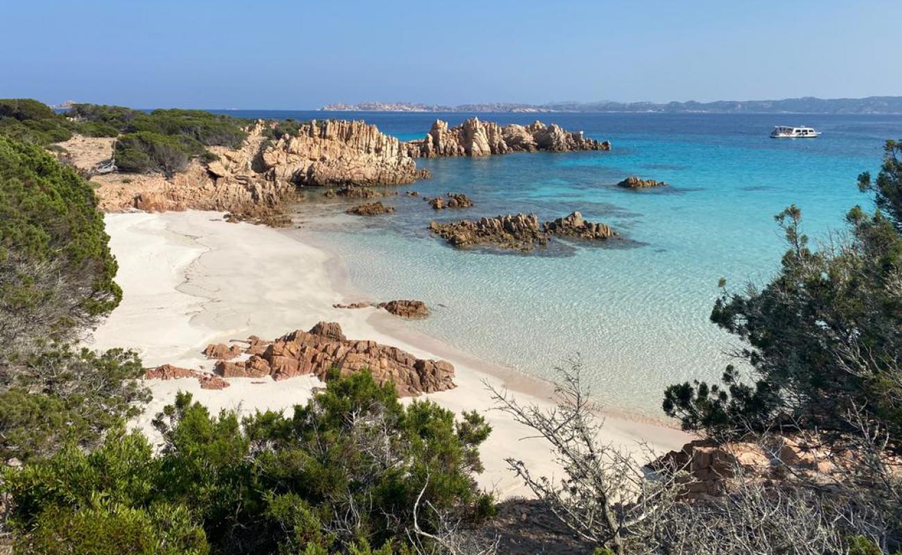 Foto de Spiaggia Rosa con brillante arena fina superficie