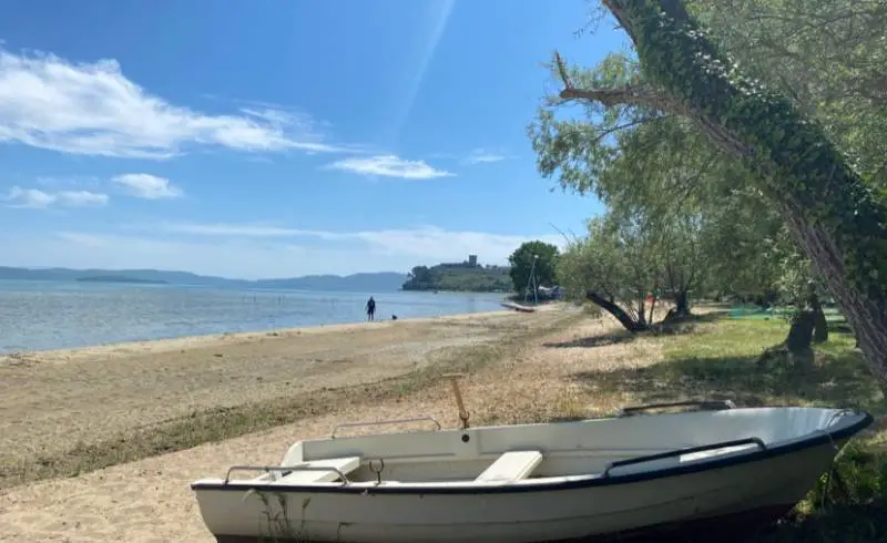 Foto de Castiglione del Lago con hierba superficie