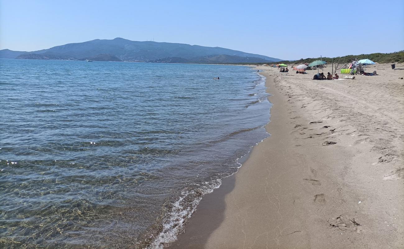 Foto de Playa Feniglia con arena brillante superficie