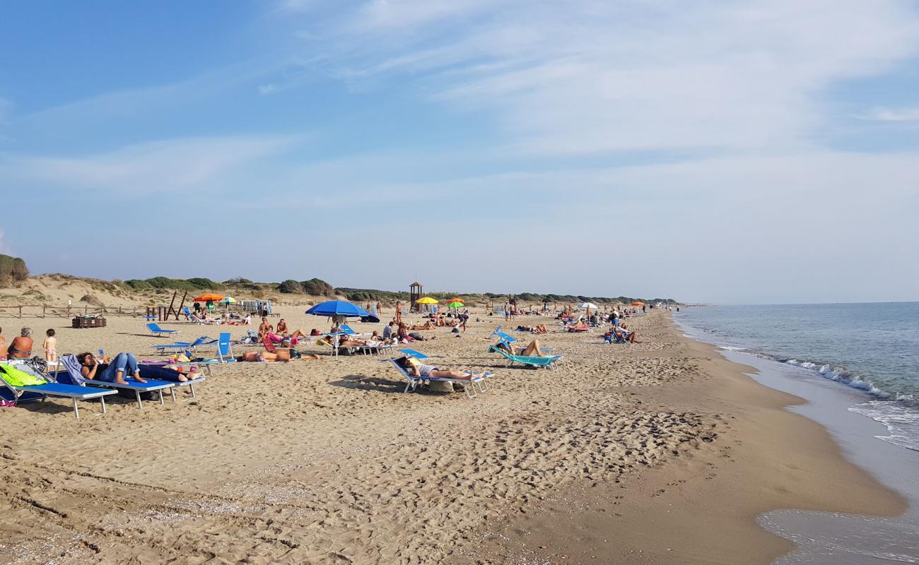 Foto de Playa de Capocotta con arena brillante superficie