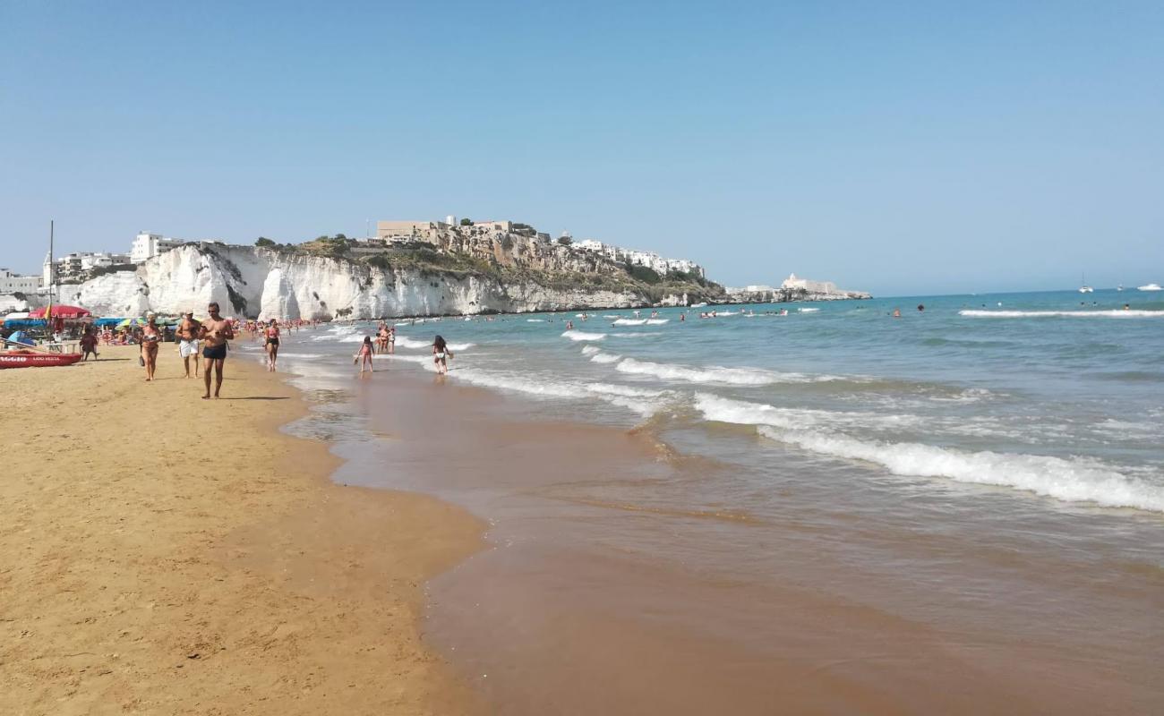 Foto de Playa Pizzomunno con arena brillante superficie