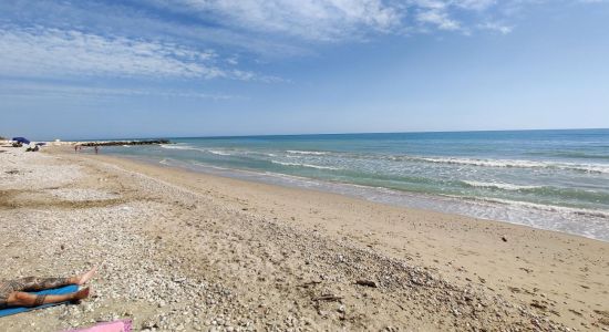 Spiaggia Pineto