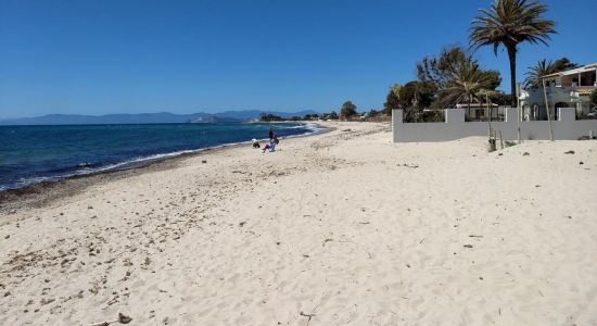 Spiaggia Di Sant Andrea