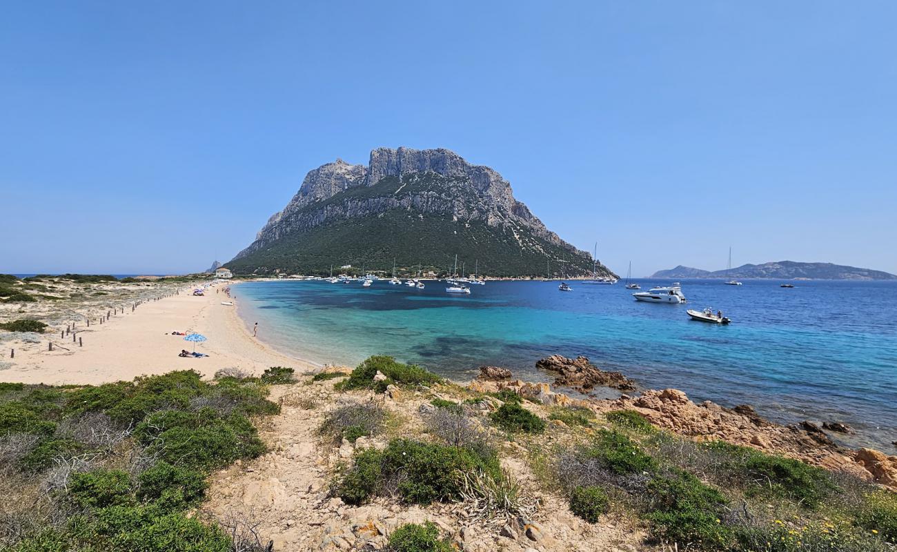 Foto de Spiaggia Spalmatore di Terra con arena fina y guijarros superficie