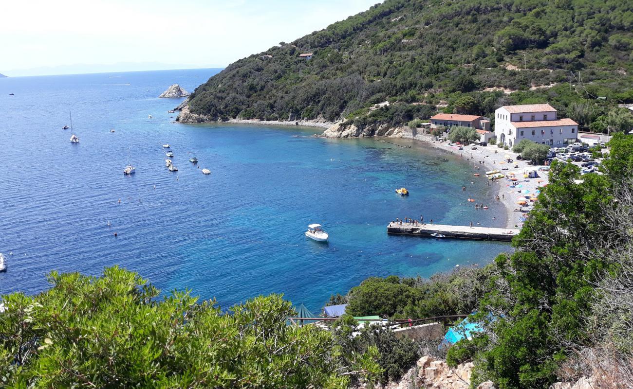 Foto de Spiaggia di Enfola con arena gris y guijarros superficie