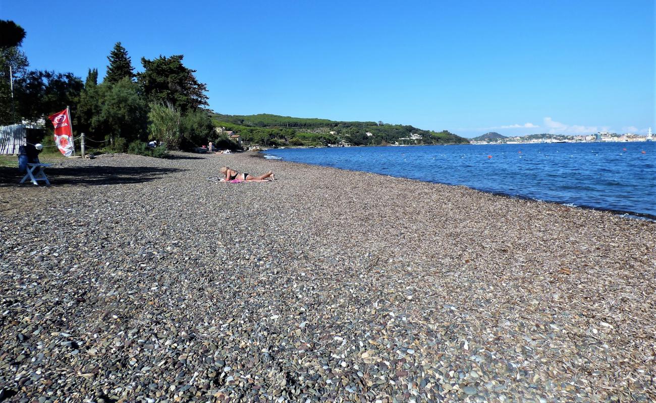 Foto de Spiaggia di Schiopparello con guijarro fino gris superficie