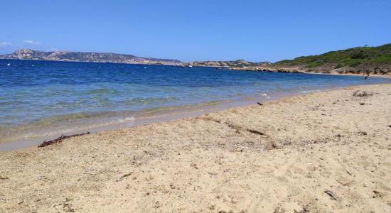 Spiaggia di Punta Nera