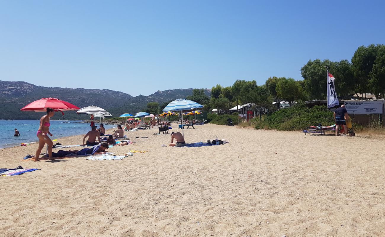 Foto de Spiaggia Degli Svedesi con arena brillante superficie