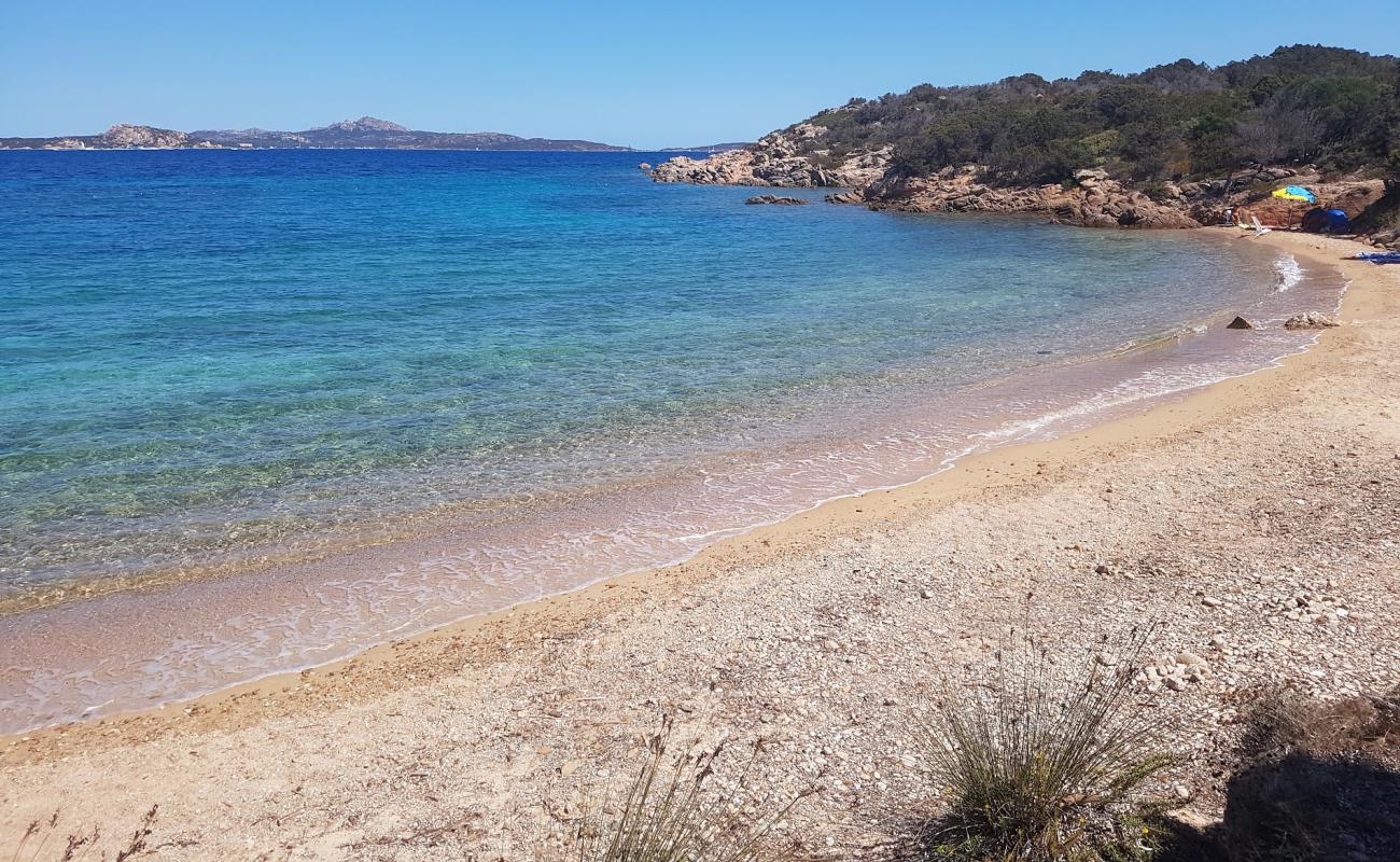 Foto de Spiaggia dei Corbezzoli con arena brillante superficie