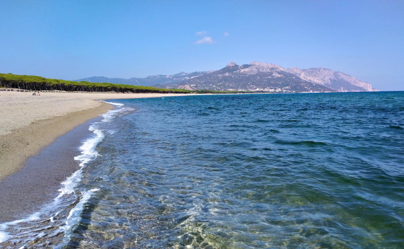 Foto de Spiaggia di Isula Manna con arena brillante superficie