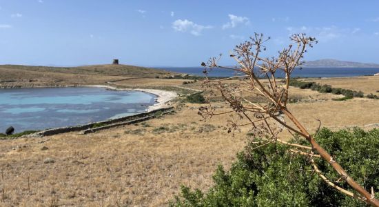 Spiaggia di Cala Barche Napoletane