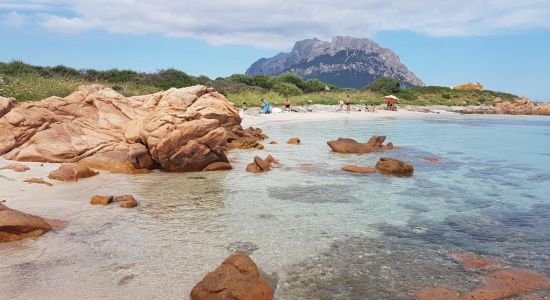 Spiaggia dell'Isola Piana