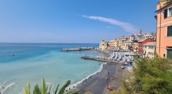 Spiaggia di Bogliasco