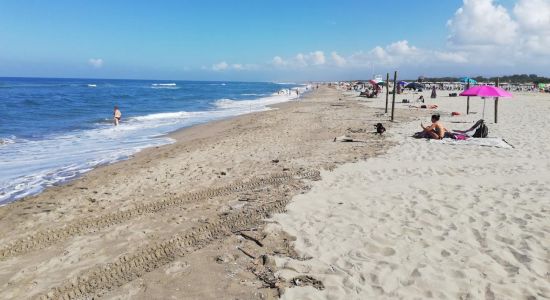 Spiaggia di Vecchiano