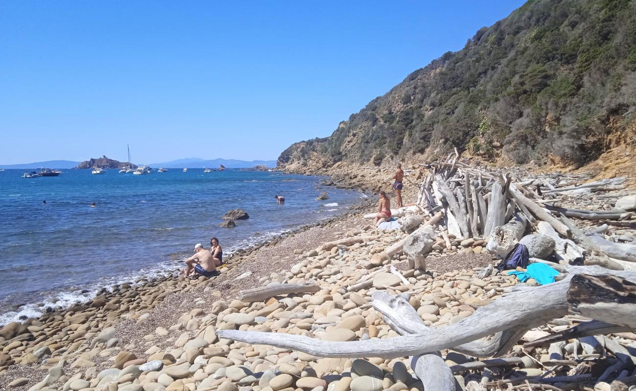 Foto de Cala Tartana con piedra superficie