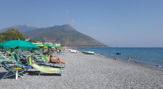 Spiaggia dell'oliveto