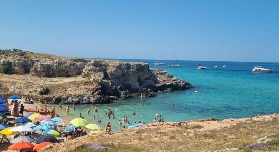 Lido Porto Camicia