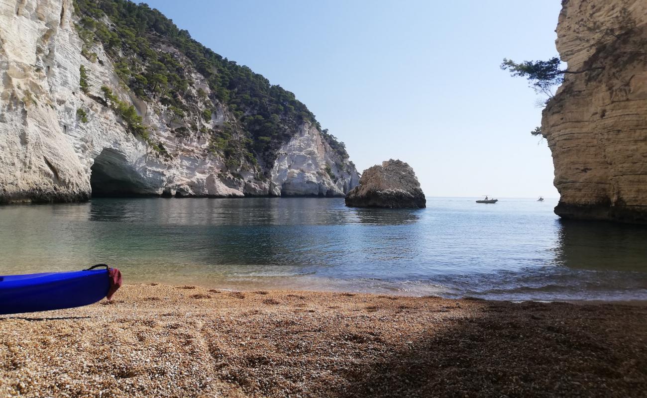 Foto de Spiaggia di Baia del Leone con guijarro fino claro superficie