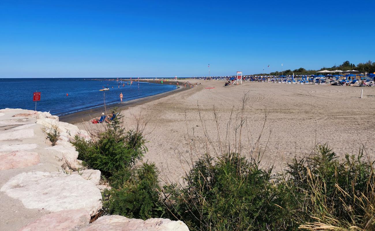 Foto de Spiaggia Isola Albarella con arena brillante superficie