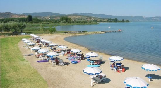 Spiaggia Badiaccia