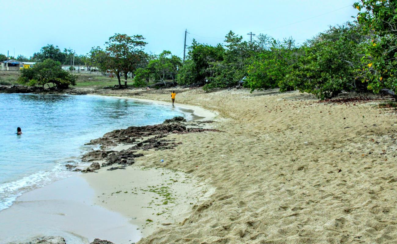 Foto de Bull's Bay Beach con arena brillante superficie