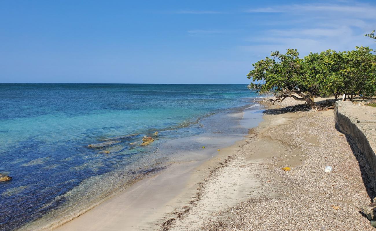 Foto de Saunders beach con arena brillante superficie