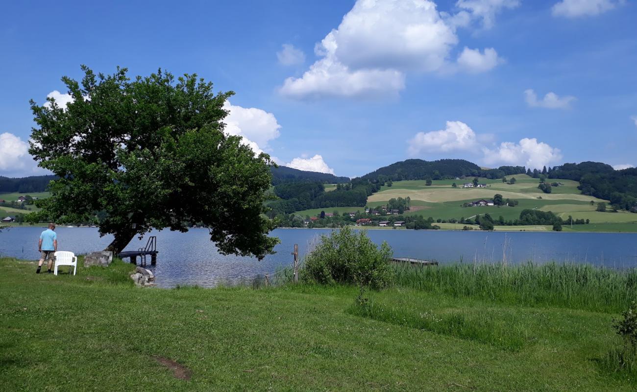 Foto de Campingplatz Fischhof con hierba superficie