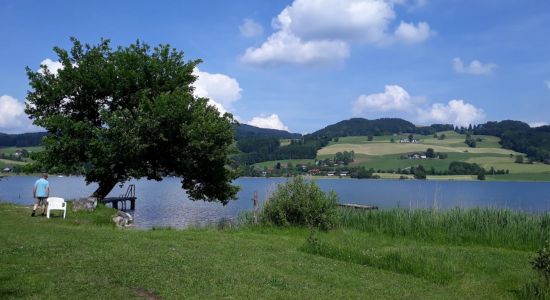 Campingplatz Fischhof